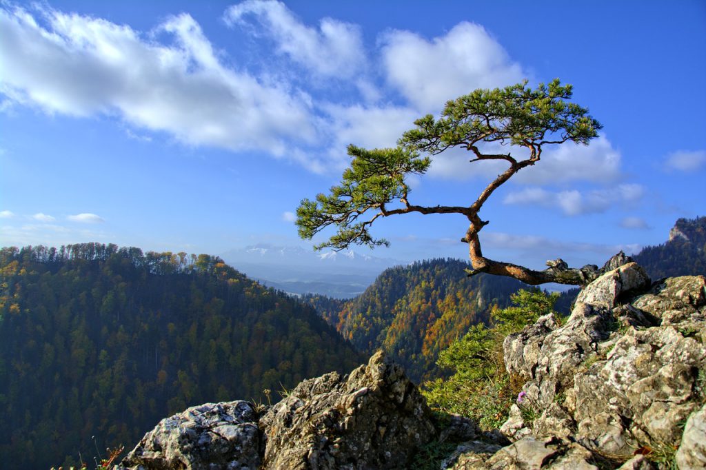 Pieniny co warto zobaczyć