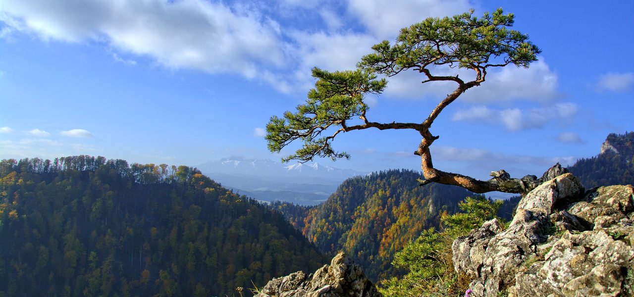 Pieniny co warto zobaczyć