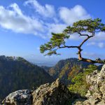 Pieniny co warto zobaczyć
