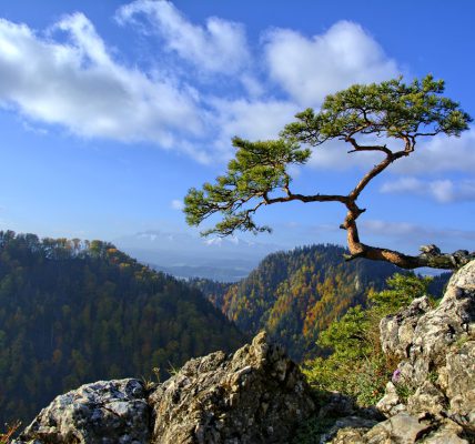 Pieniny co warto zobaczyć