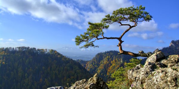 Pieniny co warto zobaczyć